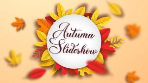Videohive Autumn Slideshow_DIZAYNPROJECT.mp4_snapshot_00.02_[2022.09.18_09.33.52]