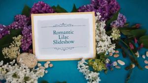 Videohive Romantic Slideshow - Premiere Pro - Mogrt.mp4_snapshot_00.01_[2022.09.14_09.13.14]