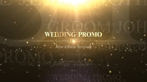 Videohive Wedding 22133573_dizaynproject.mp4_snapshot_00.08.840
