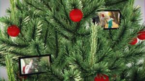 Videohive The Christmas Tree Slideshow_DIZAYNPROJECT.mp4_snapshot_00.19_[2022.11.18_09.29.15]