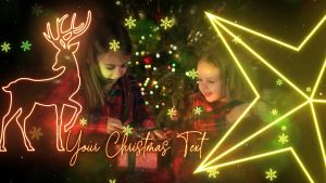 Christmas Slideshow Neon Tree_DIZAYNPROJECT.mp4_snapshot_00.13_[2022.12.15_11.35.30]