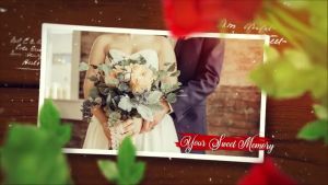 Wedding Love Story Slideshow Green Rose Videohive.mp4_snapshot_00.12_[2022.12.12_09.18.43]