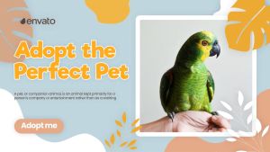 Слайд-шоу домашних питомцев Adopt Pet Yellow Promo Videohive DIZAYNPROJECT